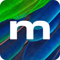 Mallard Labs Homepage